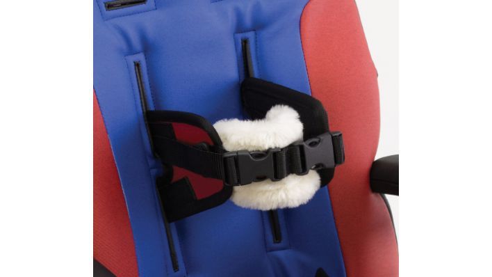 Let's go special needs clearance car seat